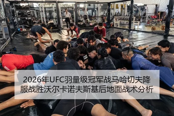 nian-yu-liang-ji-guan-jun-zhan-ma-ha-qie-fu-xiang-fu-zhan-sheng-wo-er-ka-nuo-fu-si-ji-hou-di-mian-zhan-shu-fen-xi-2-348.jpg