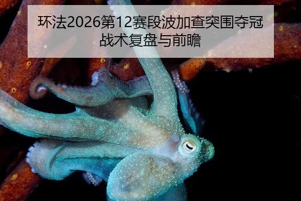 环法2026第12赛段波加查突围夺冠战术复盘与前瞻